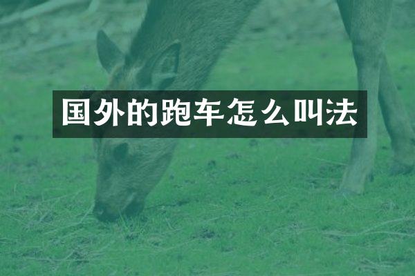 国外的跑车怎么叫法