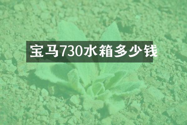 宝马730水箱多少钱