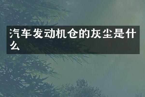 汽车发动机仓的灰尘是什么