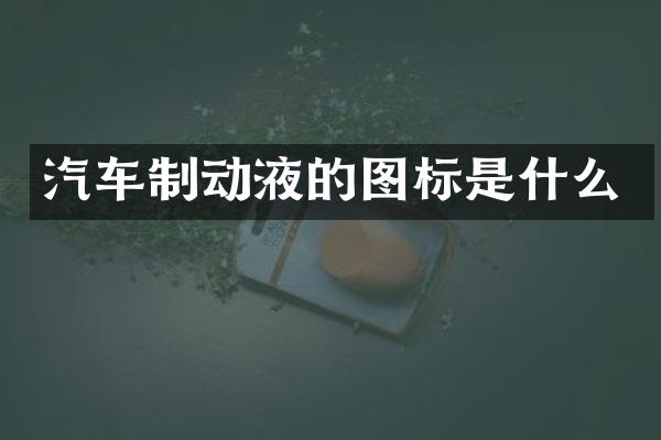 汽车制动液的图标是什么