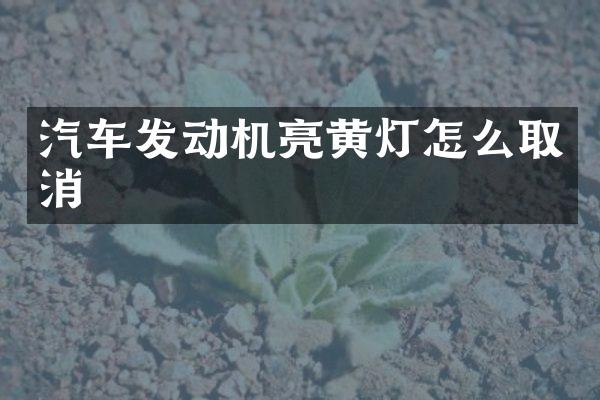 汽车发动机亮黄灯怎么取消