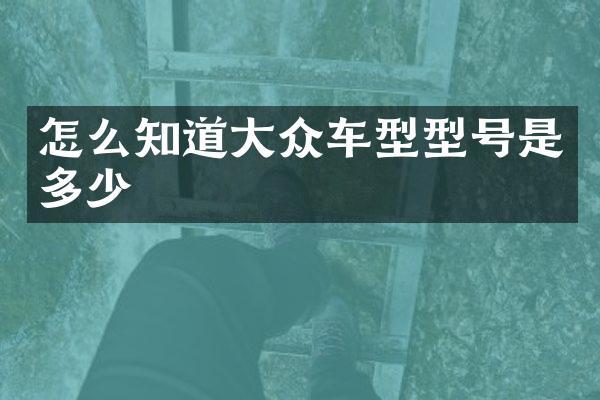 怎么知道大众车型型号是多少