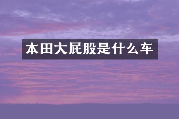 本田大屁股是什么车