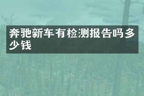 奔驰新车有检测报告吗多少钱