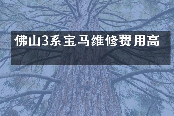 佛山3系宝马维修费用高吗