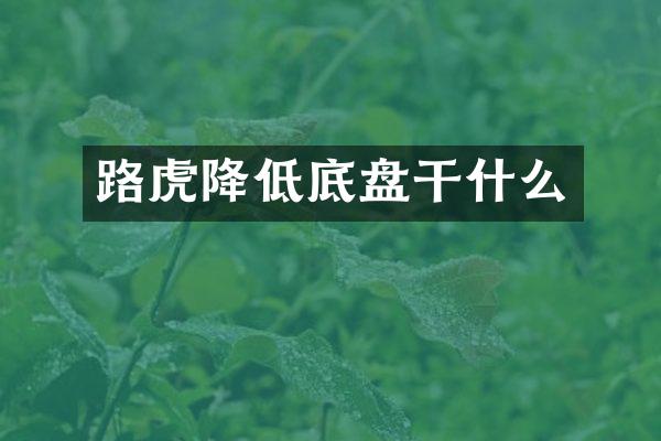 路虎降低底盘干什么
