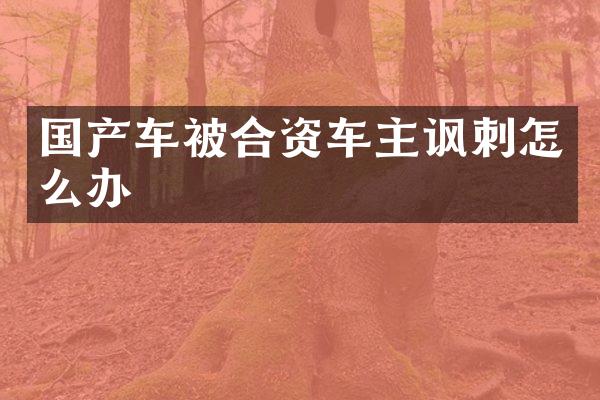 国产车被合资车主讽刺怎么办