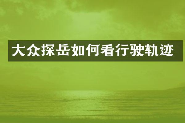 大众探岳如何看行驶轨迹