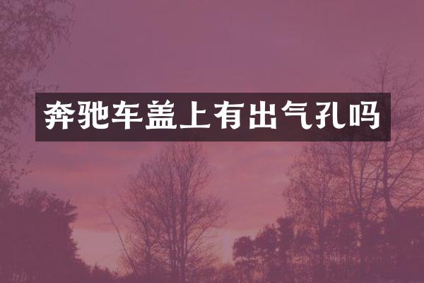 奔驰车盖上有出气孔吗
