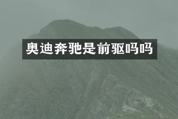 奥迪奔驰是前驱吗吗