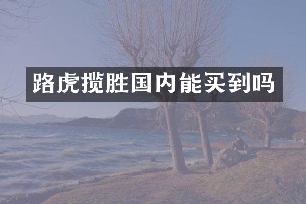 路虎揽胜国内能买到吗