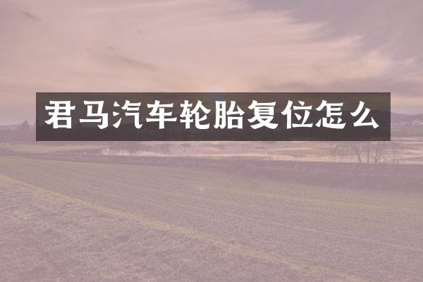 君马汽车轮胎复位怎么