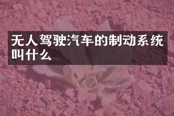 无人驾驶汽车的制动系统叫什么