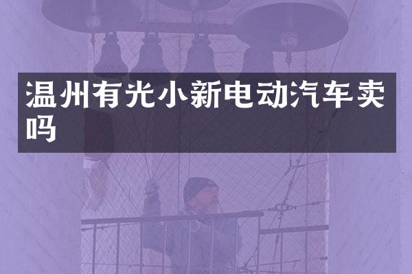 温州有光小新电动汽车卖吗