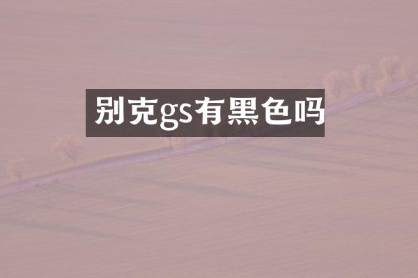 别克gs有黑色吗
