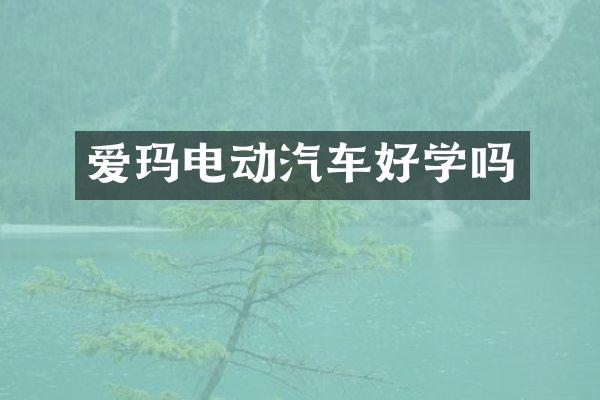 爱玛电动汽车好学吗