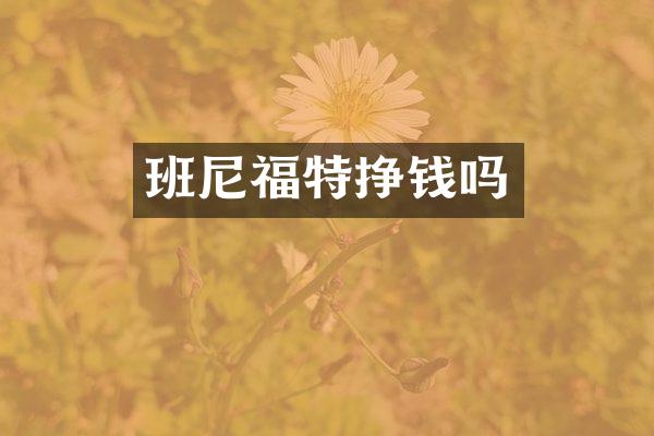 班尼福特挣钱吗