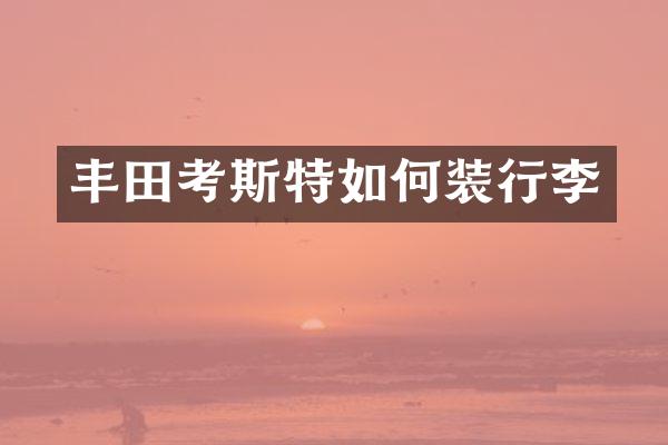 丰田考斯特如何装行李
