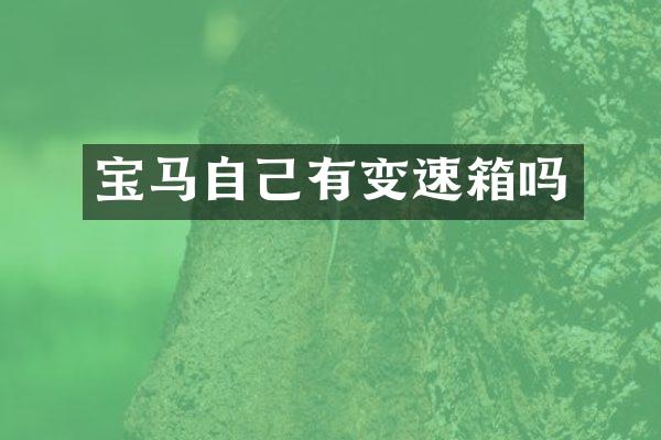 宝马自己有变速箱吗