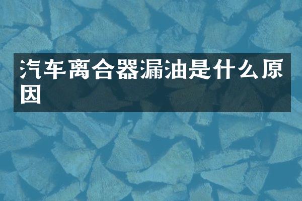 汽车离合器漏油是什么原因