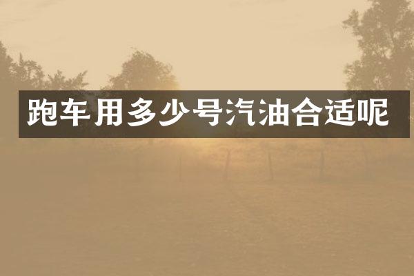 跑车用多少号汽油合适呢