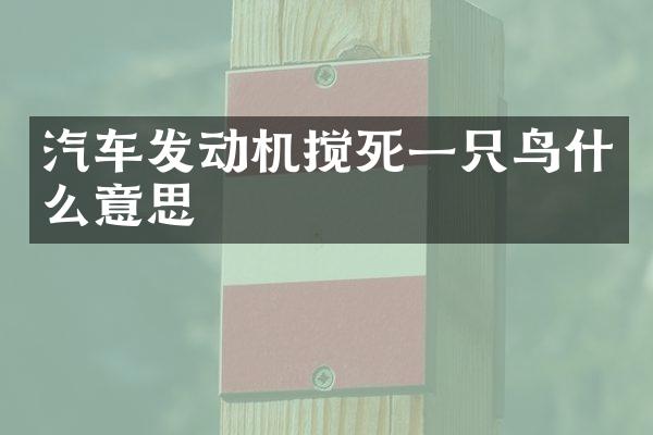 汽车发动机搅死一只鸟什么意思