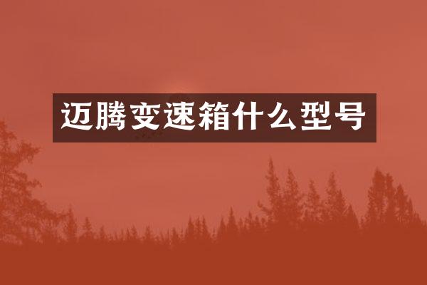 迈腾变速箱什么型号