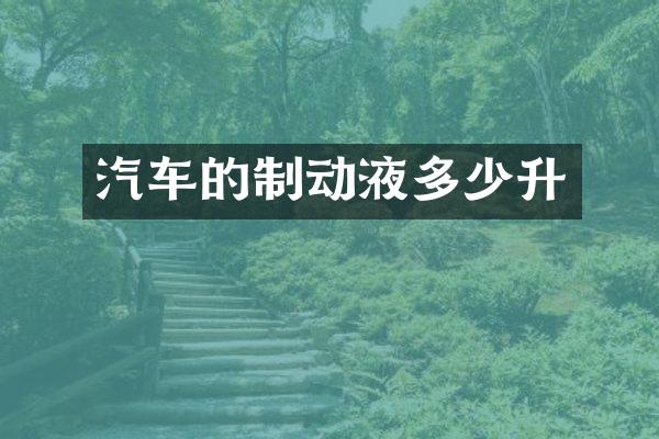 汽车的制动液多少升