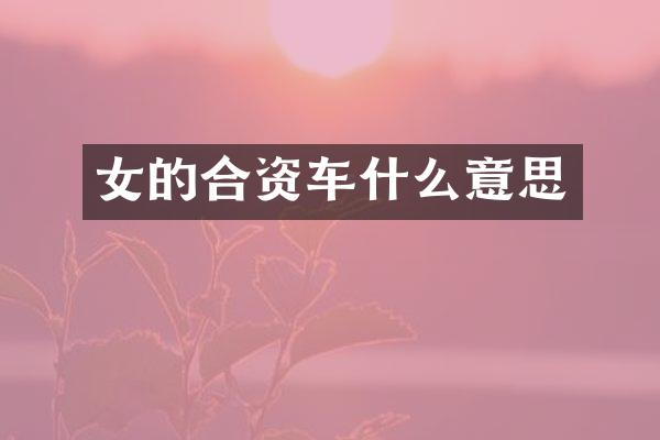 女的合资车什么意思