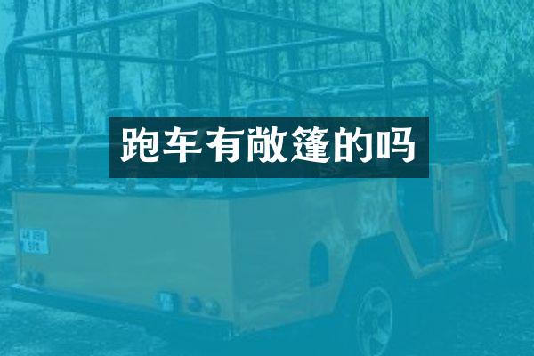 跑车有敞篷的吗