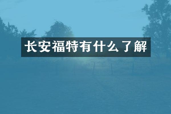 长安福特有什么了解