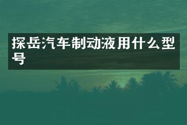 探岳汽车制动液用什么型号