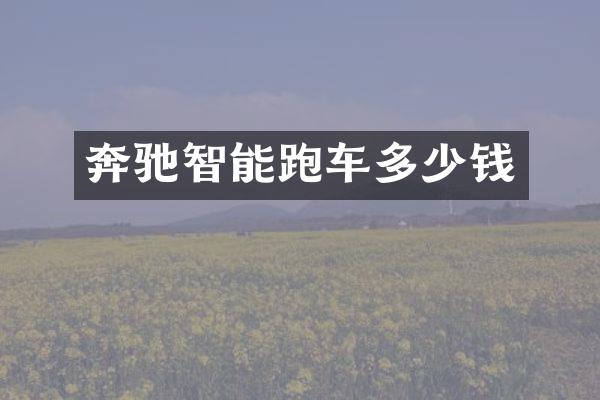 奔驰智能跑车多少钱