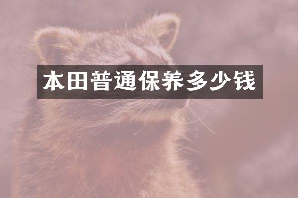 本田普通保养多少钱