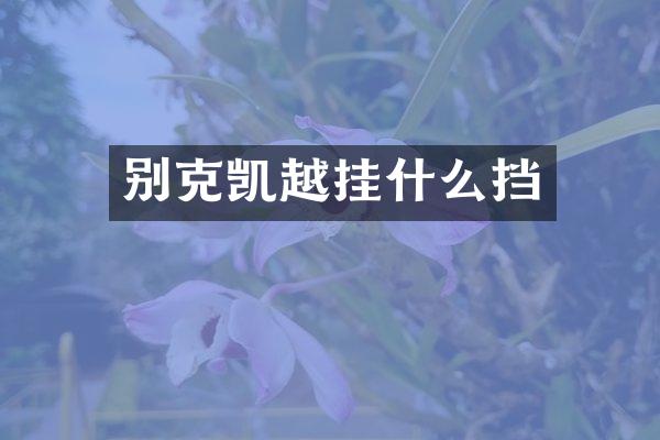 别克凯越挂什么挡