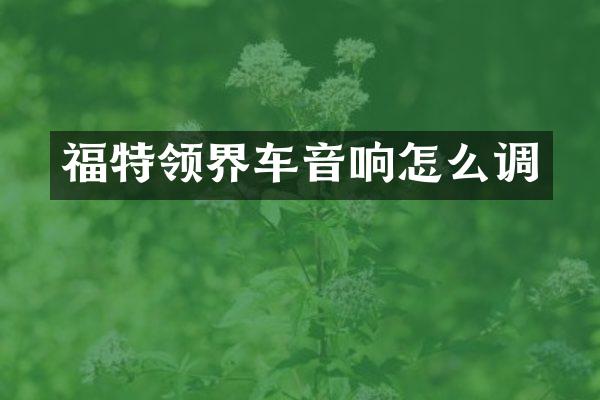 福特领界车音响怎么调