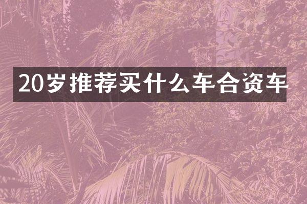 20岁推荐车合资车