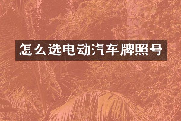 怎么选电动汽车牌照号