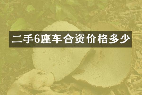 二手6座车合资价格多少