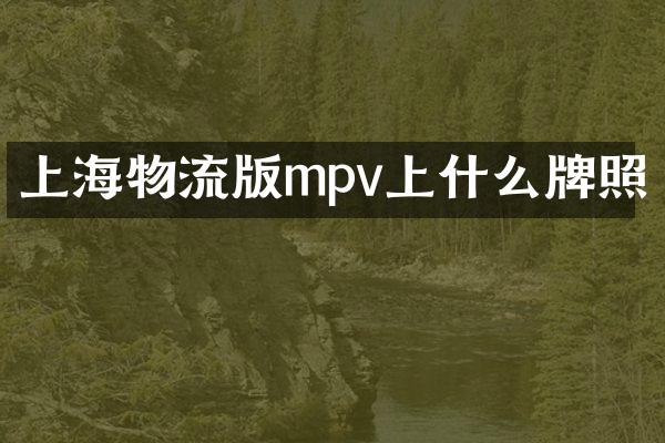 上海物流版mpv上什么牌照