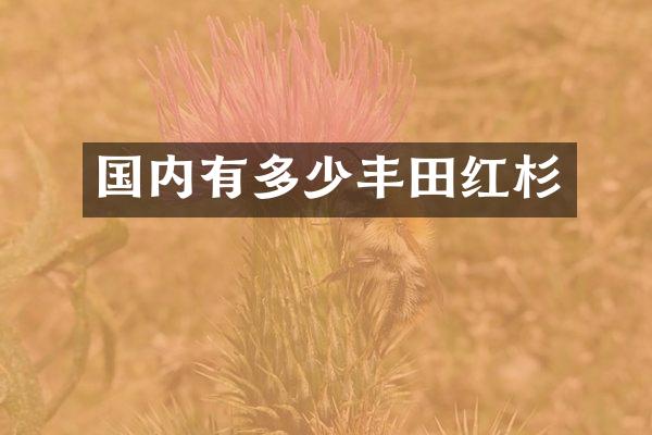 国内有多少丰田红杉