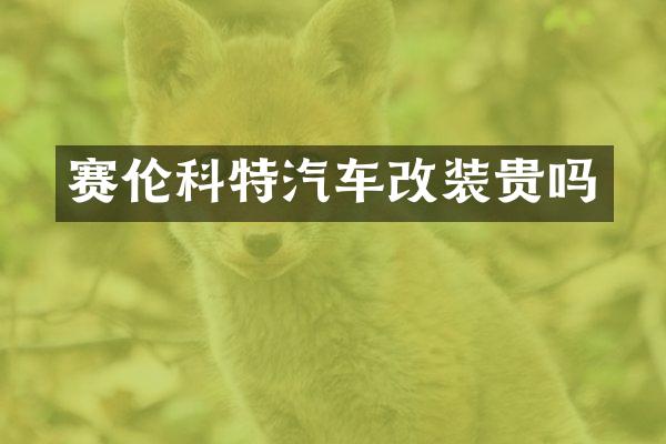 赛伦科特汽车改装贵吗