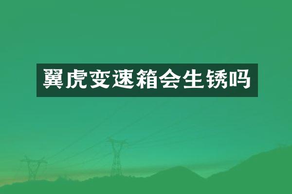 翼虎变速箱会生锈吗