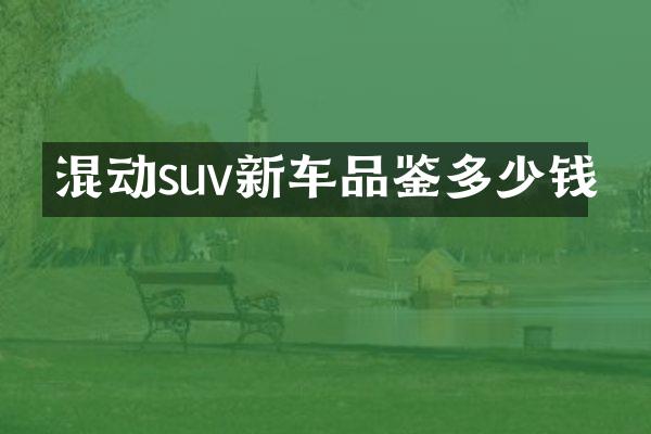 混动suv新车品鉴多少钱