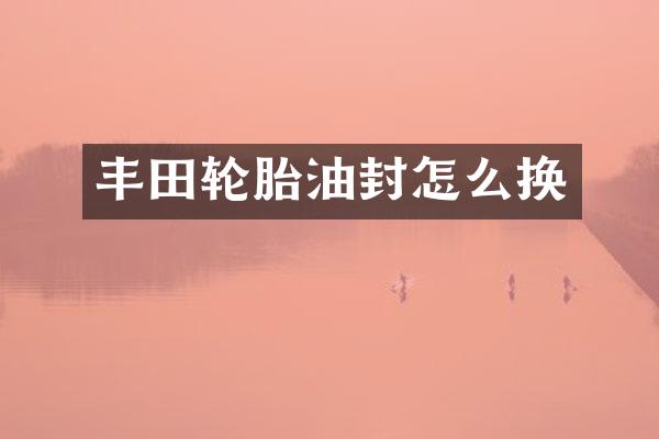 丰田轮胎油封怎么换