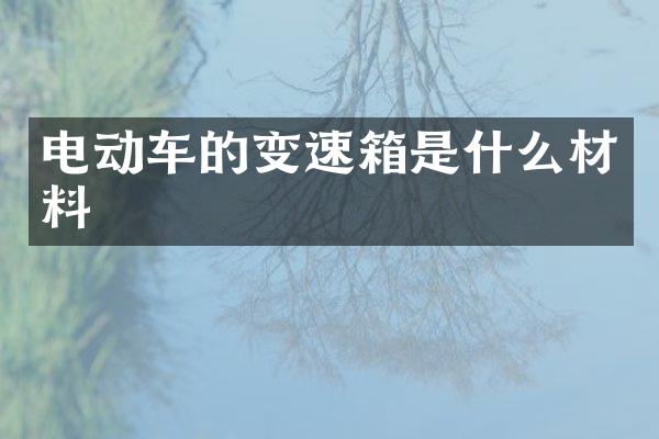 电动车的变速箱是什么材料