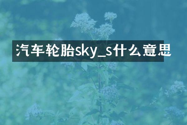 汽车轮胎sky_s什么意思
