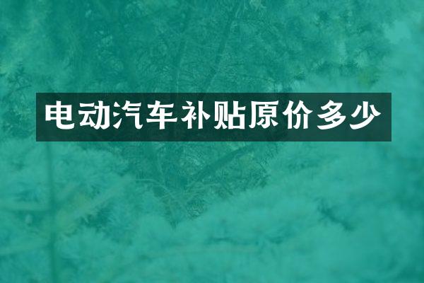 电动汽车补贴原价多少