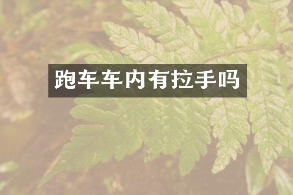跑车车内有拉手吗