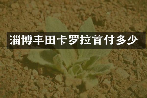 淄博丰田卡罗拉首付多少